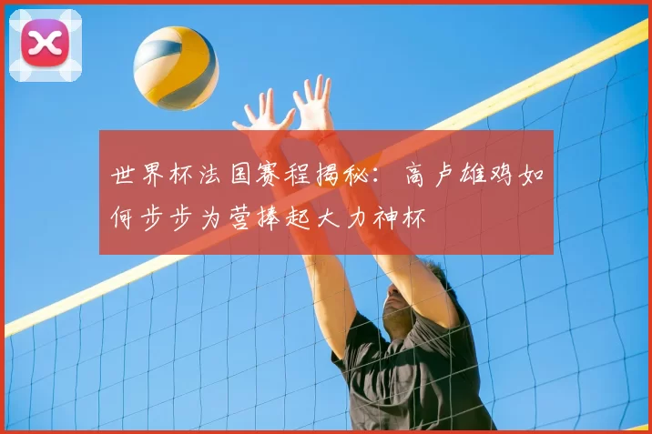 世界杯法国赛程揭秘:高卢雄鸡如何步步为营捧起大力神杯