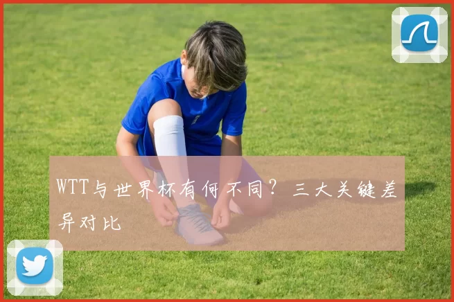 WTT与世界杯有何不同？三大关键差异对比
