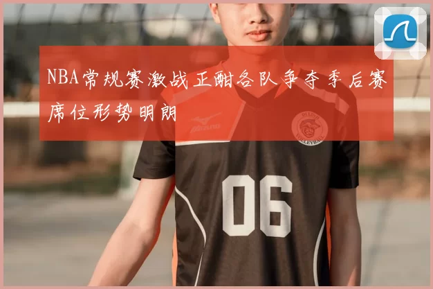 NBA常规赛激战正酣各队争夺季后赛席位形势明朗