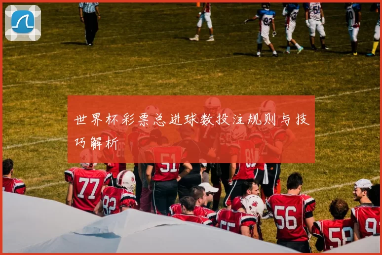 世界杯彩票总进球数投注规则与技巧解析