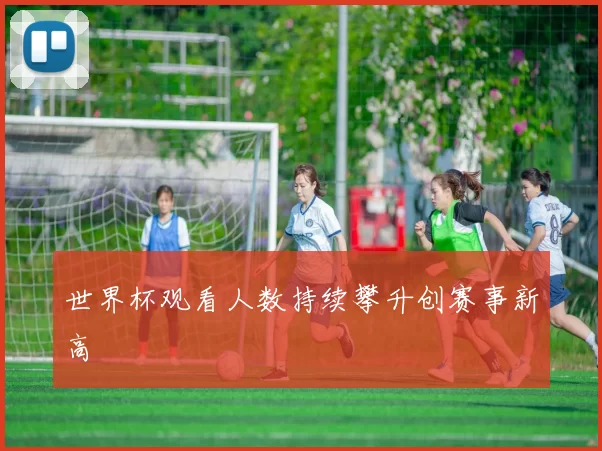 世界杯观看人数持续攀升创赛事新高