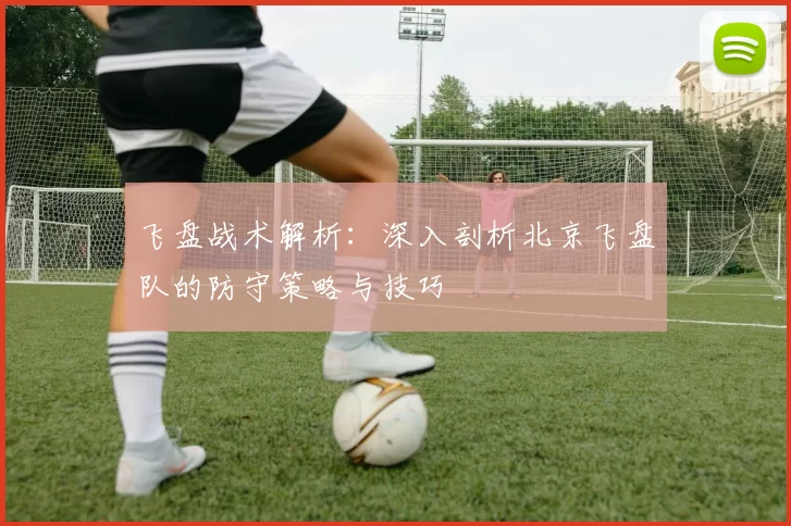 飞盘战术解析:深入剖析北京飞盘队的防守策略与技巧