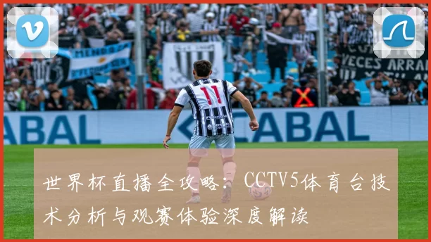 世界杯直播全攻略:CCTV5体育台技术分析与观赛体验深度解读