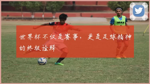 世界杯不仅是赛事,更是足球精神的终极诠释