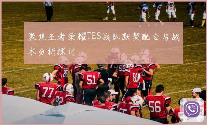 聚焦王者荣耀TES战队默契配合与战术分析探讨