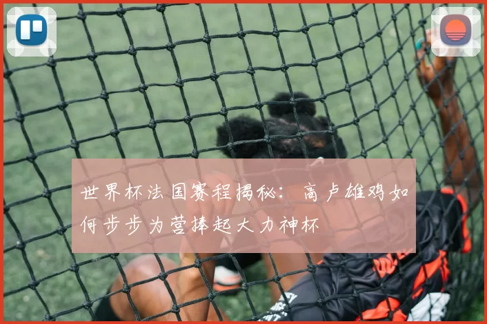 世界杯法国赛程揭秘:高卢雄鸡如何步步为营捧起大力神杯