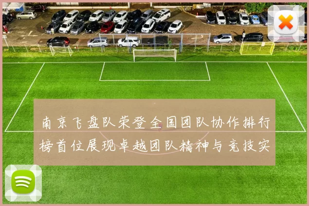南京飞盘队荣登全国团队协作排行榜首位展现卓越团队精神与竞技实力