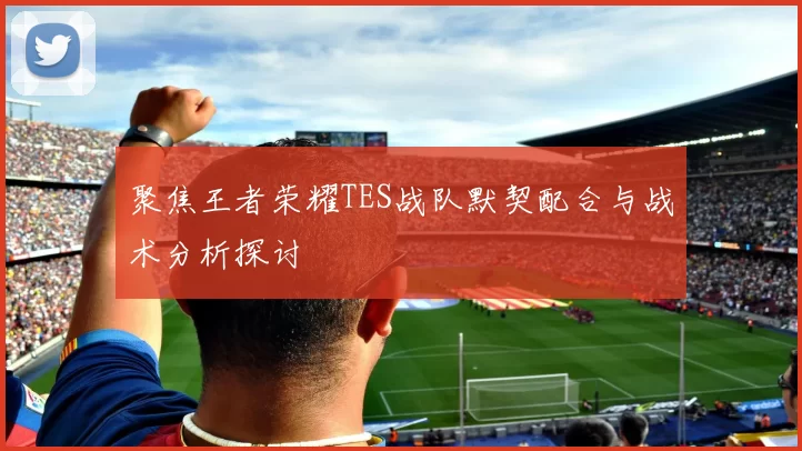 聚焦王者荣耀TES战队默契配合与战术分析探讨